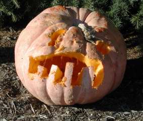 Big mouth, Nipomo Pumpkin Patch, carving idea